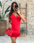 Abitino roses red