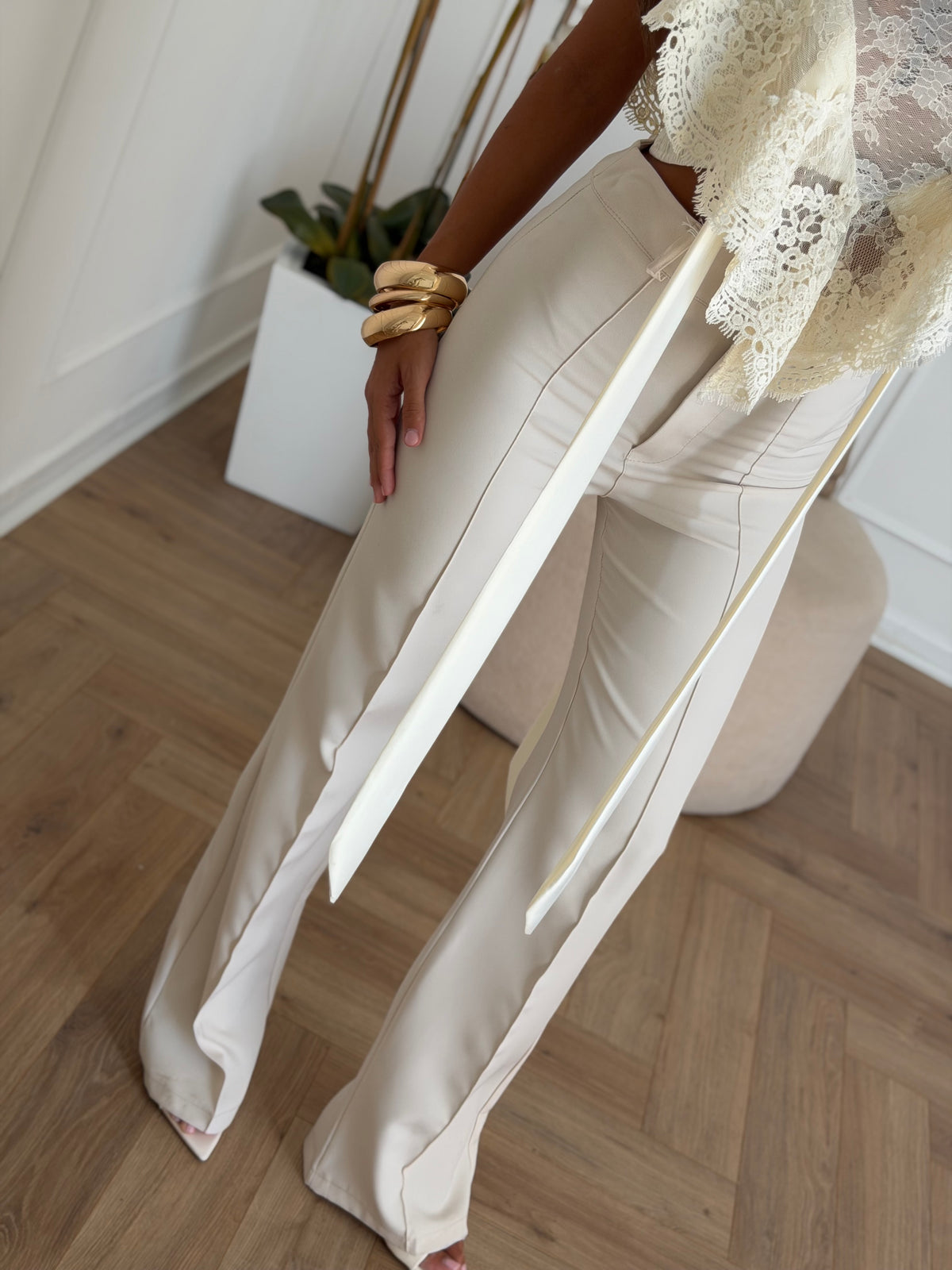 Pantalone sapiens