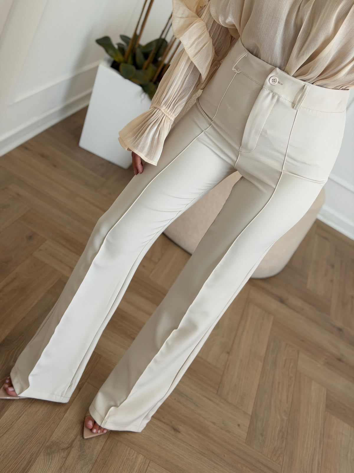 Pantalone sapiens
